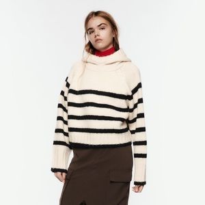 Zara Striped Wool Sweater | Size L